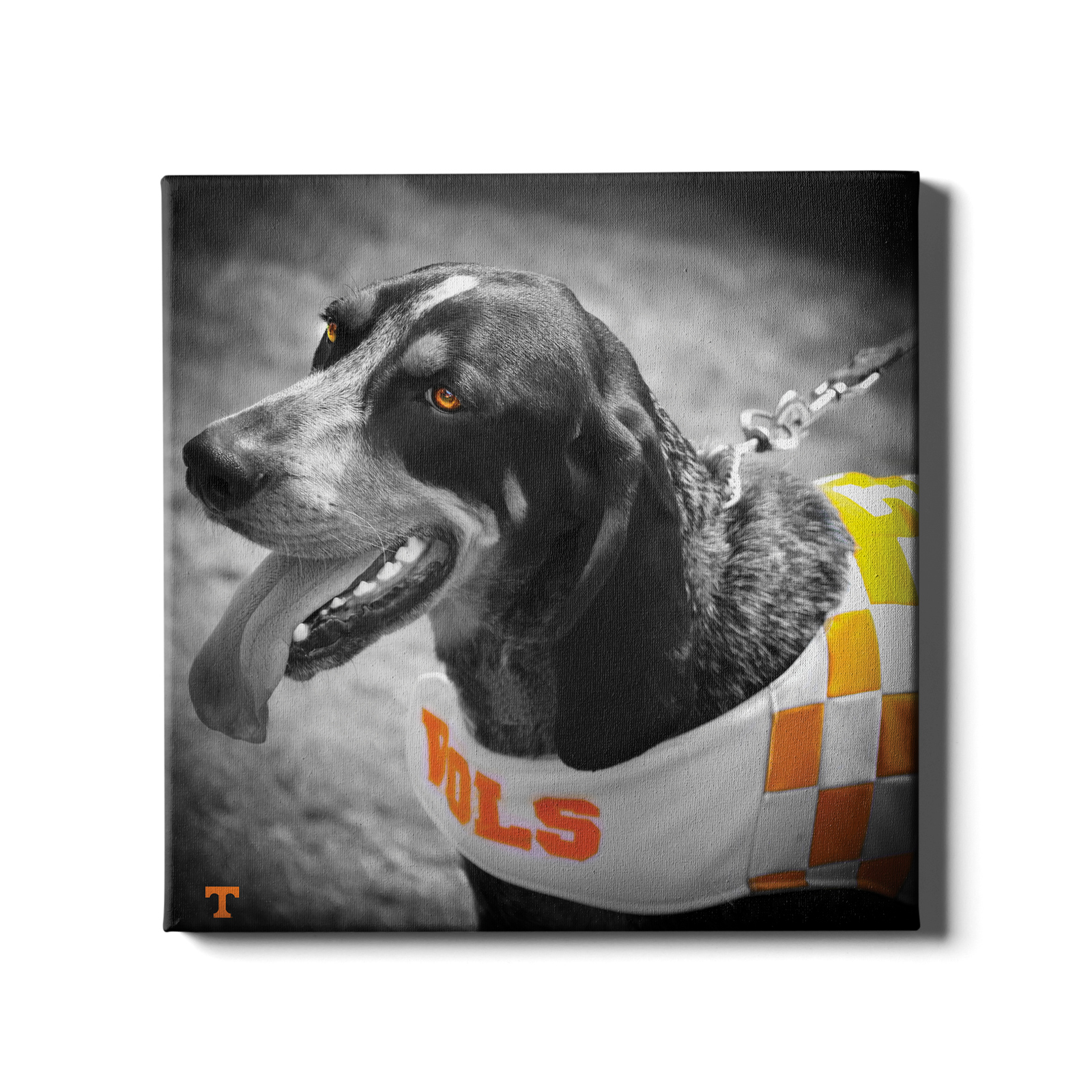 Tennessee Volunteers - Smokey Orange - College Wall Art #Canvas 