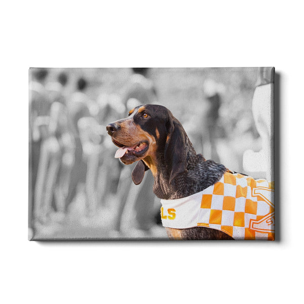 Mascot - Vol Wall Art