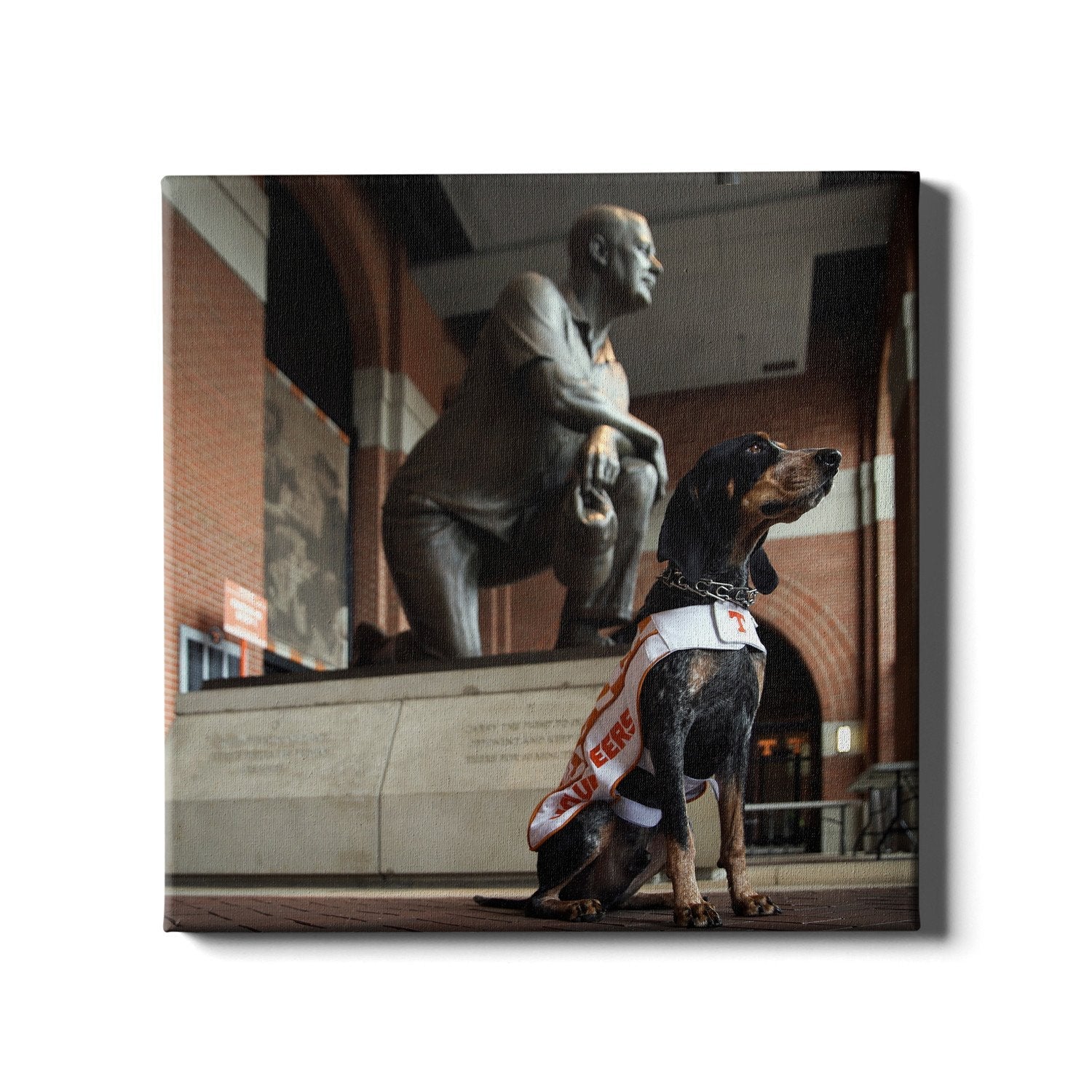 Tennessee Volunteers - Poised - College Wall Art #Canvas