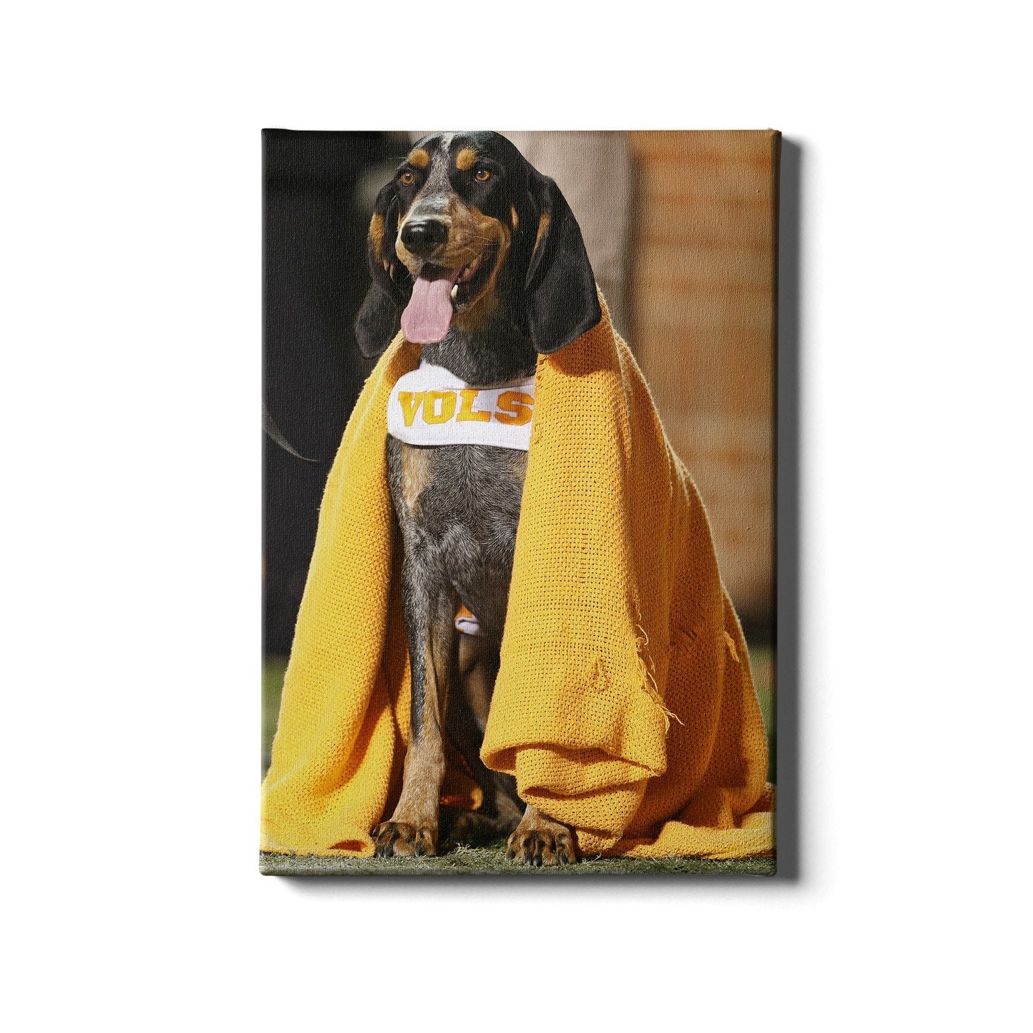 Tennessee Volunteers - Smokey's Blanket - College Wall Art #Canvas