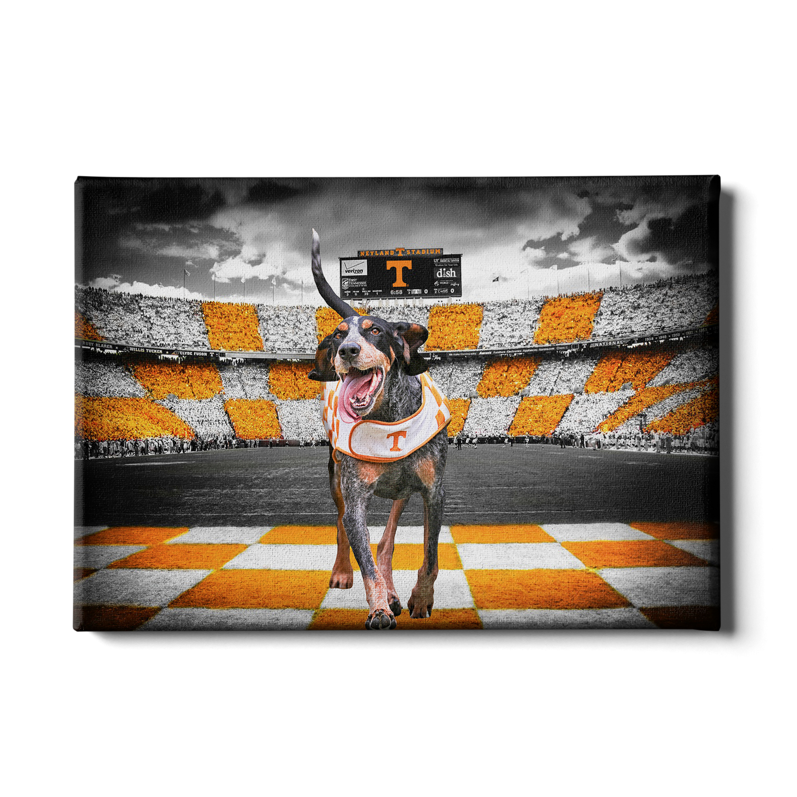Tennessee Volunteers - Smokey's Backyard - College Wall Art #Canvas