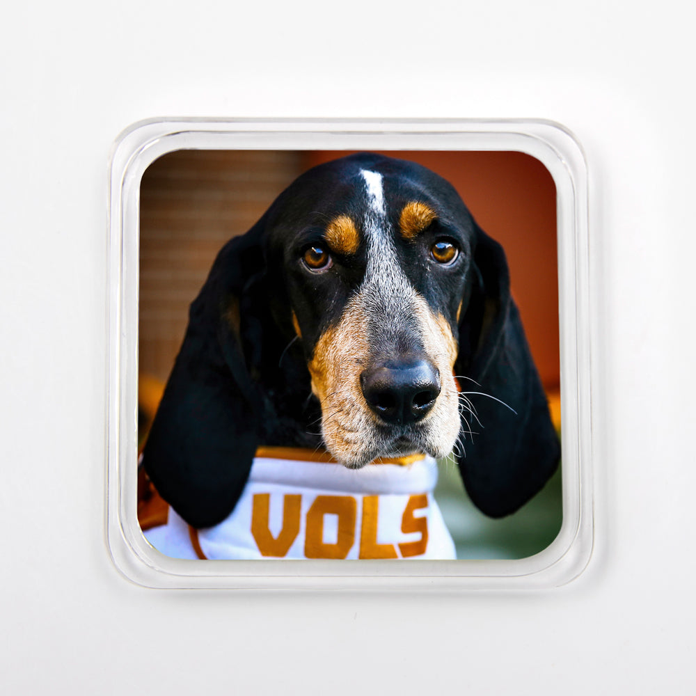 Tennessee Volunteers -  Smokey Vols Drink #Coaster