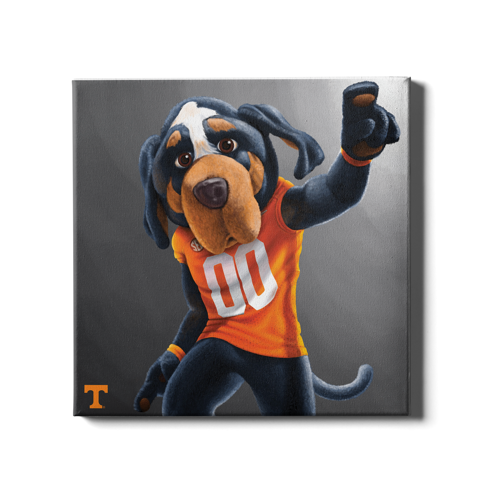 Tennessee Volunteers - Smokey - College Wall Art #Canvas