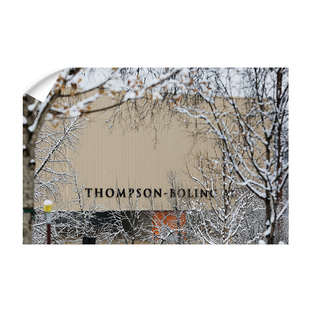 Tennessee Volunteers - Snowy Thompson-Boling - College Wall Art #Canvas