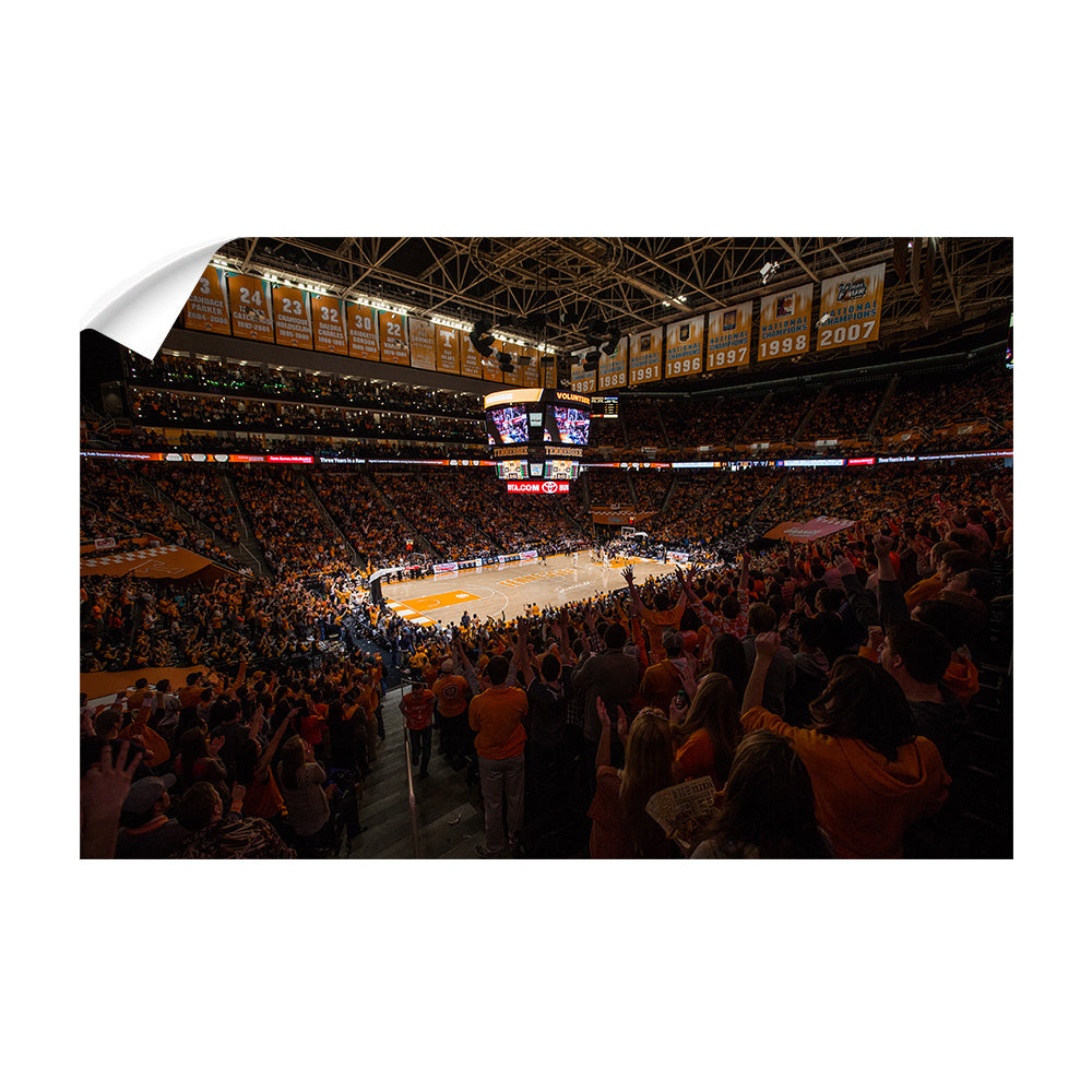Tennessee Volunteers - Thompson-Boling B Ball - College Wall Art #Canvas