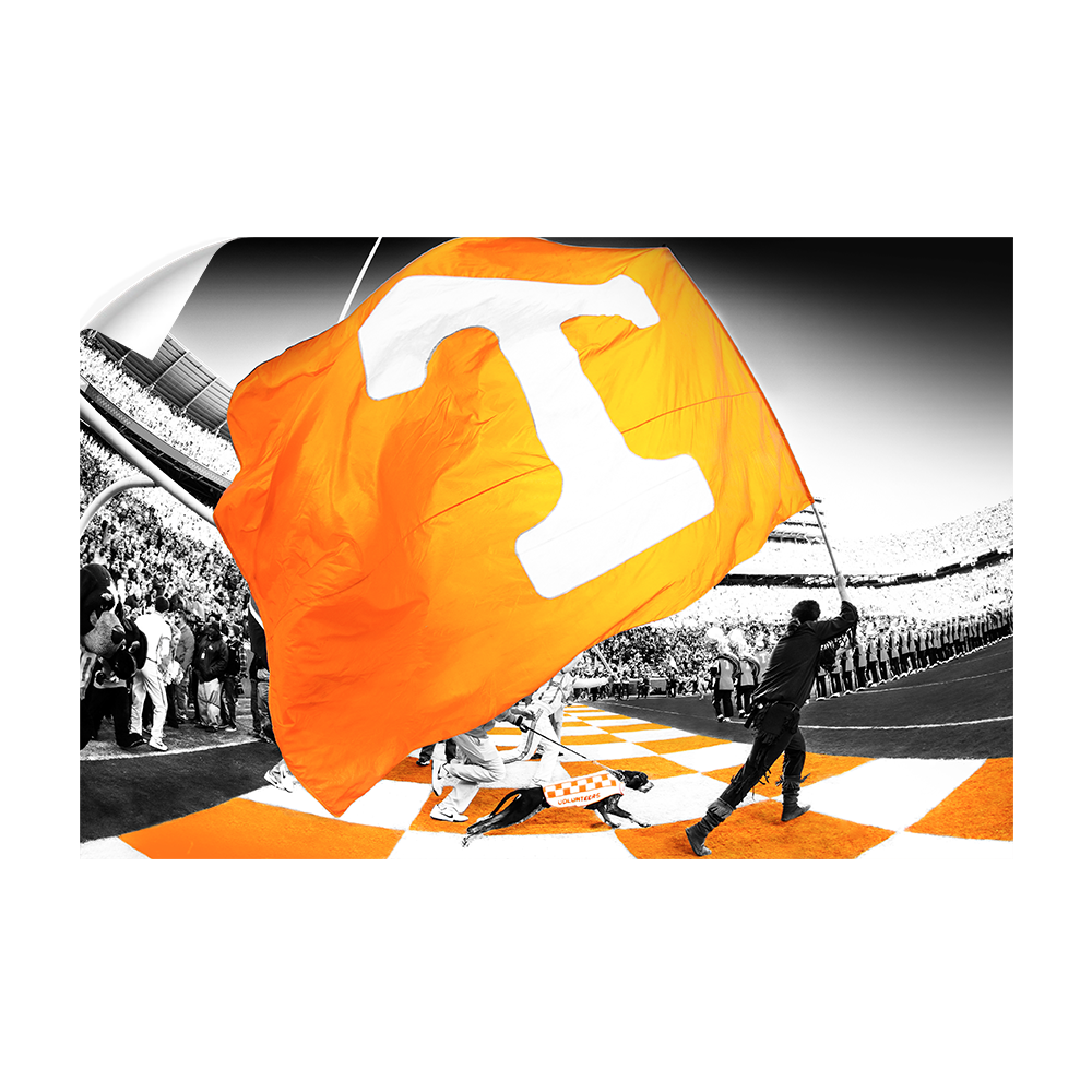 Tennessee Volunteers - Tennessee Pride - College Wall Art #Canvas