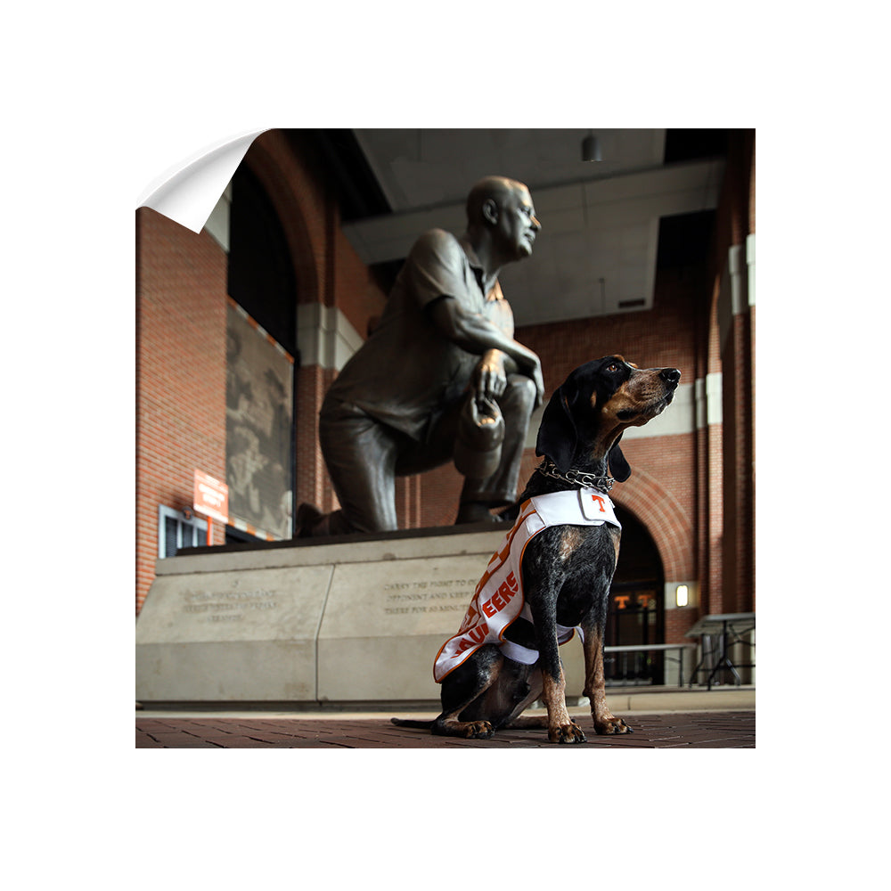 Tennessee Volunteers - Poised - College Wall Art #Canvas