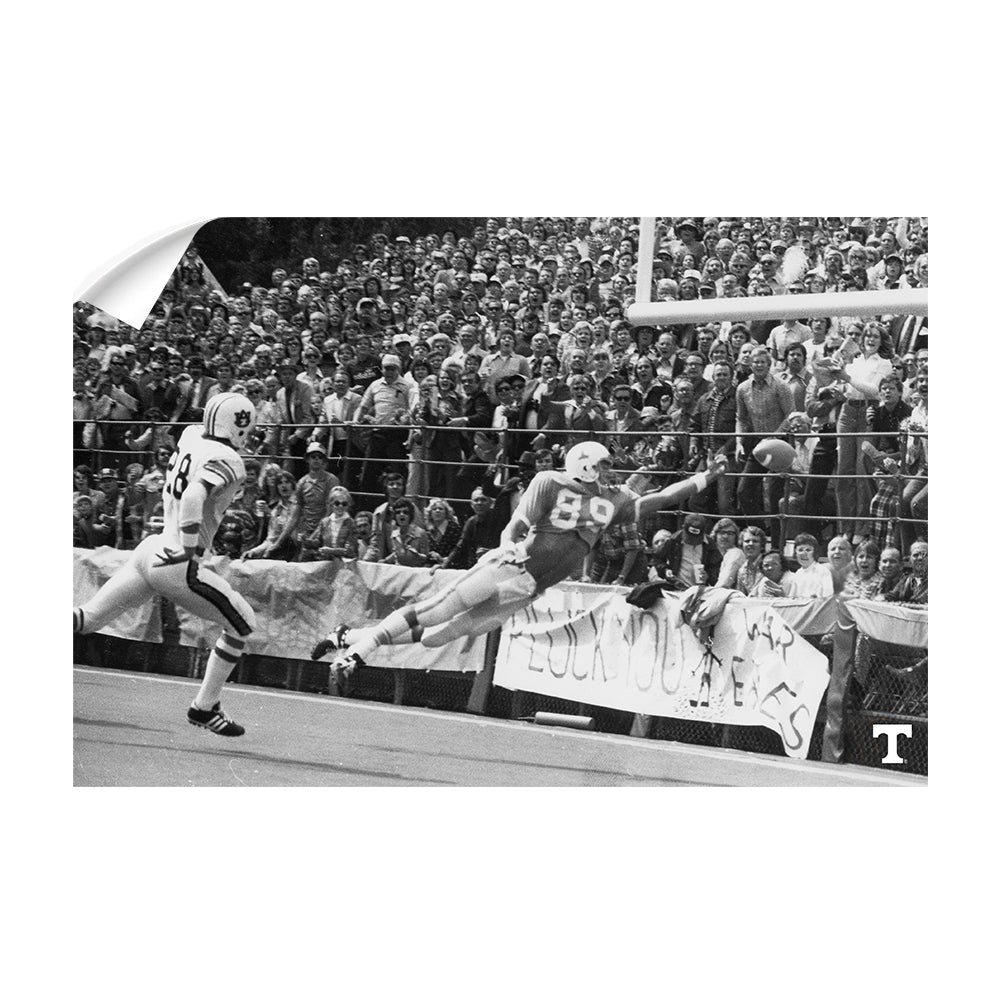 Tennessee Volunteers - Vintage Larry Seivers - College Wall Art 