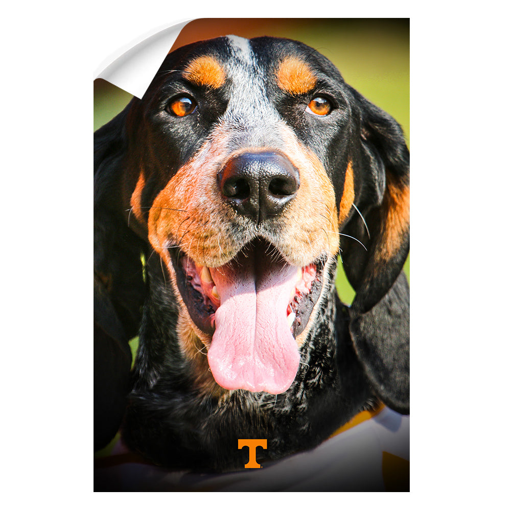 Tennessee Volunteers - Smokey Smiles - College Wall Art #Canvas