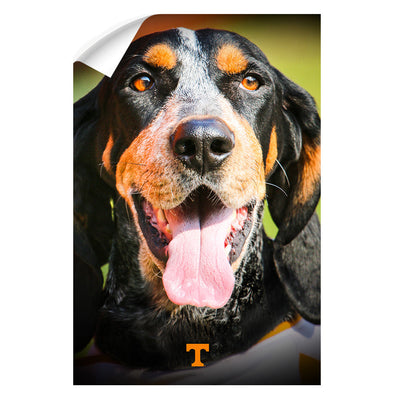 Tennessee Volunteers - Smokey Smiles - College Wall Art #Wall Decal