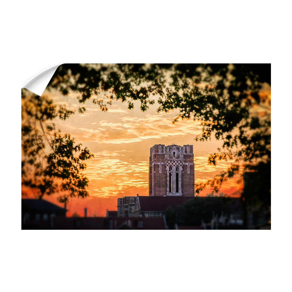 Tennessee Volunteers - Ayres Blaze - College Wall Art #Canvas