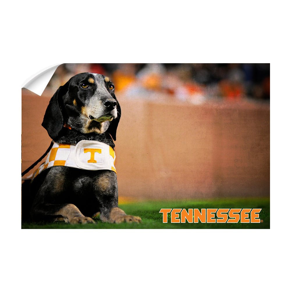 Tennessee Volunteers - Smokey - College Wall Art #Canvas