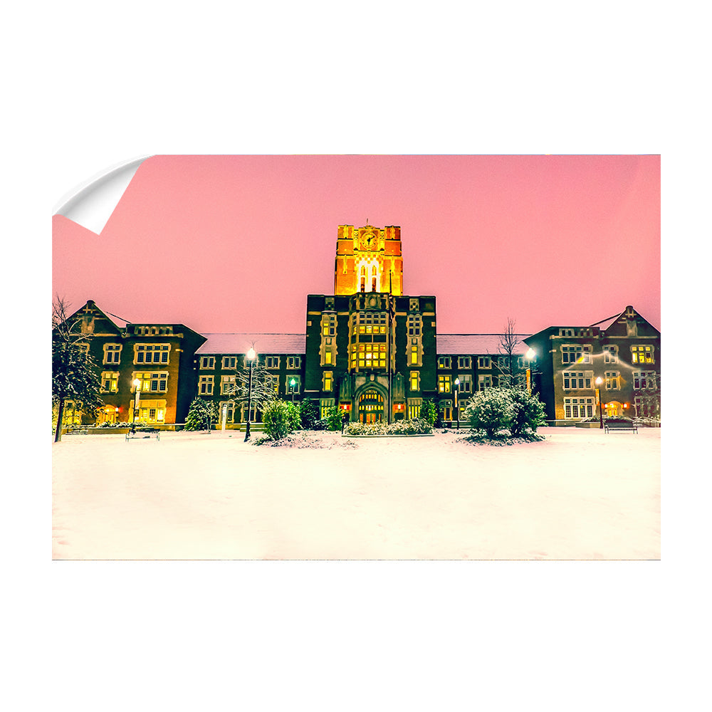 Tennessee Volunteers - Snowy Ayres - College Wall Art #Canvas