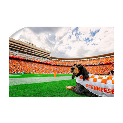 Tennessee Volunteers - Smokey's Tennessee #Wall Decal