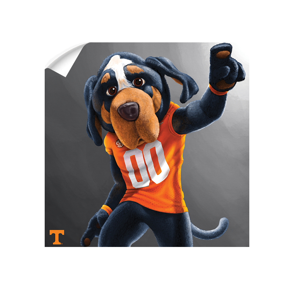 Tennessee Volunteers - Smokey - College Wall Art #Canvas