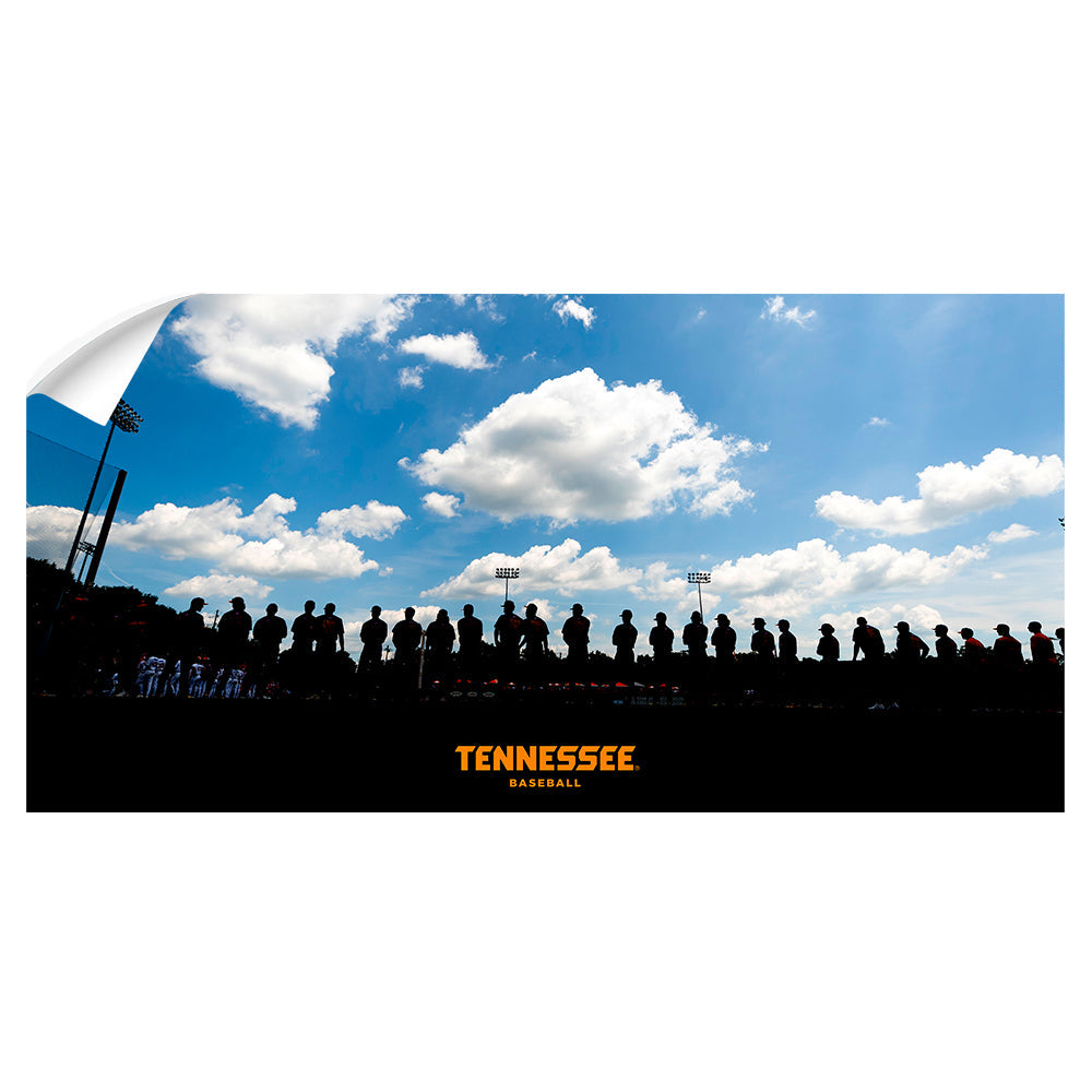 Tennessee Volunteers - Tennessee Baseball - College Wall Art #Canvas