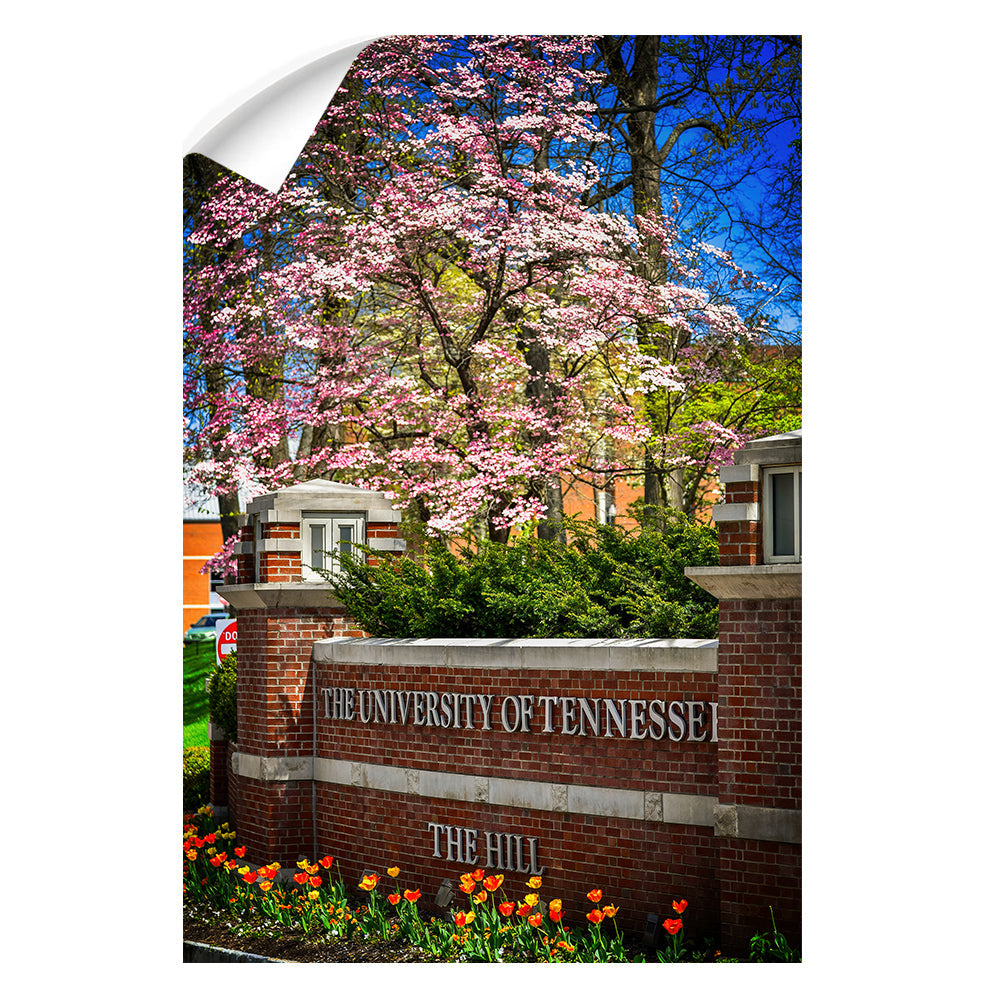 Tennessee Volunteers - Spring on the Hill - College Wall Art #Canvas