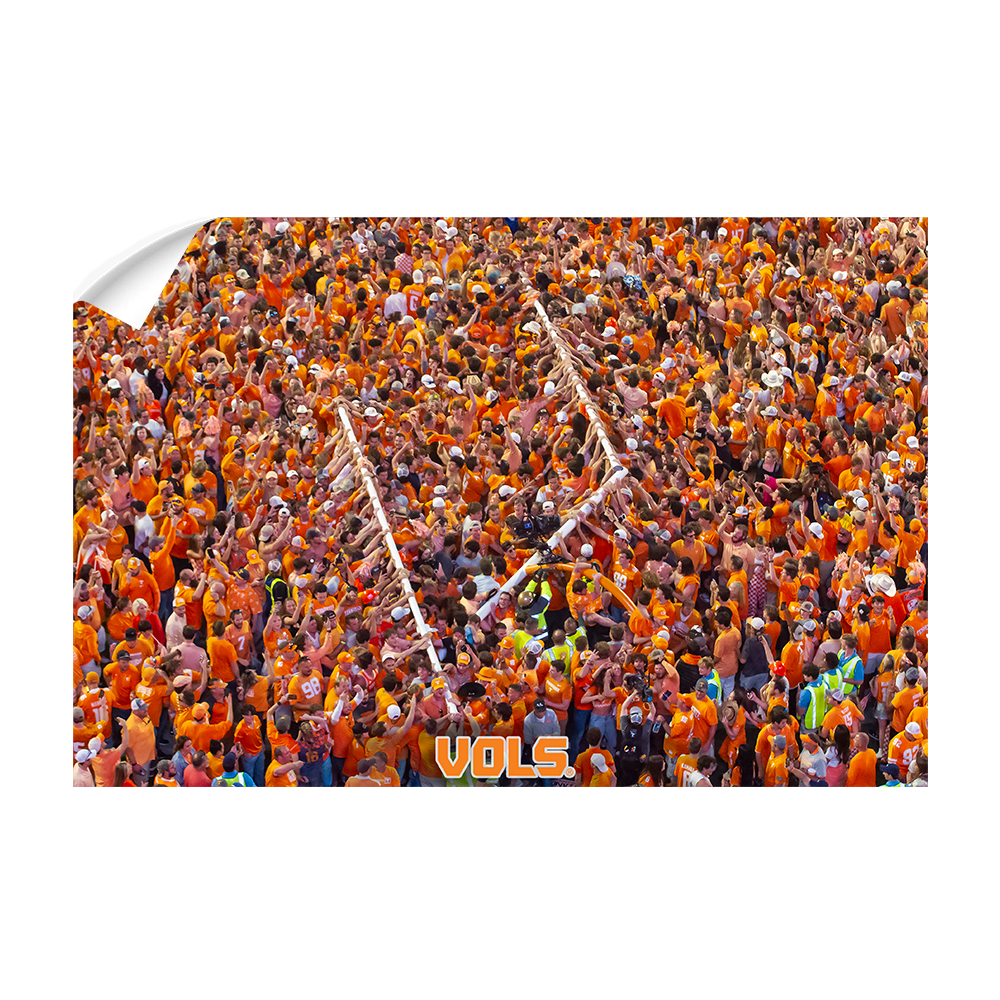 Tennessee Volunteers - The Goal Post is Down - College Wall Art #Canvas
