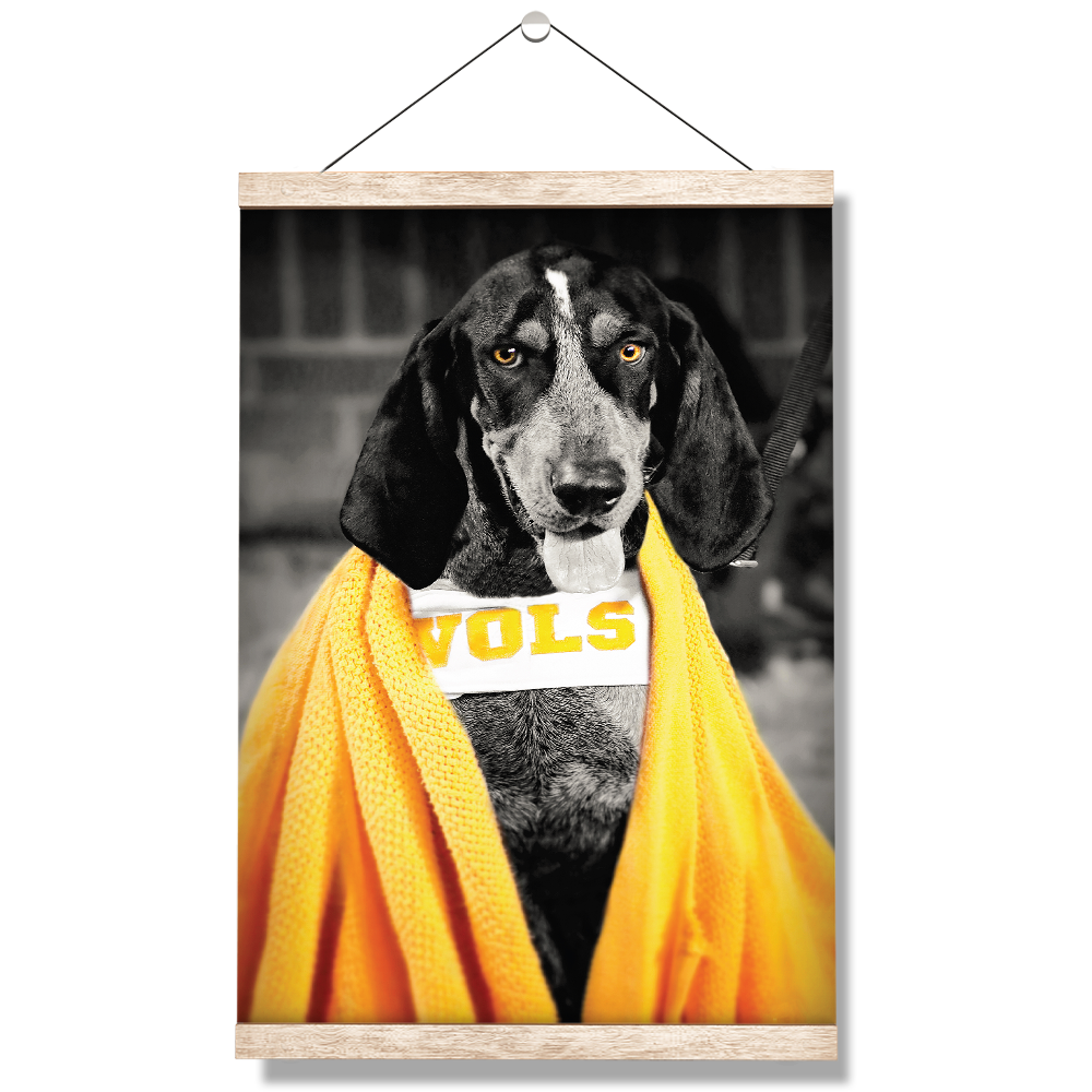 Tennessee Volunteers - Jedi Smokey - College Wall Art #Canvas