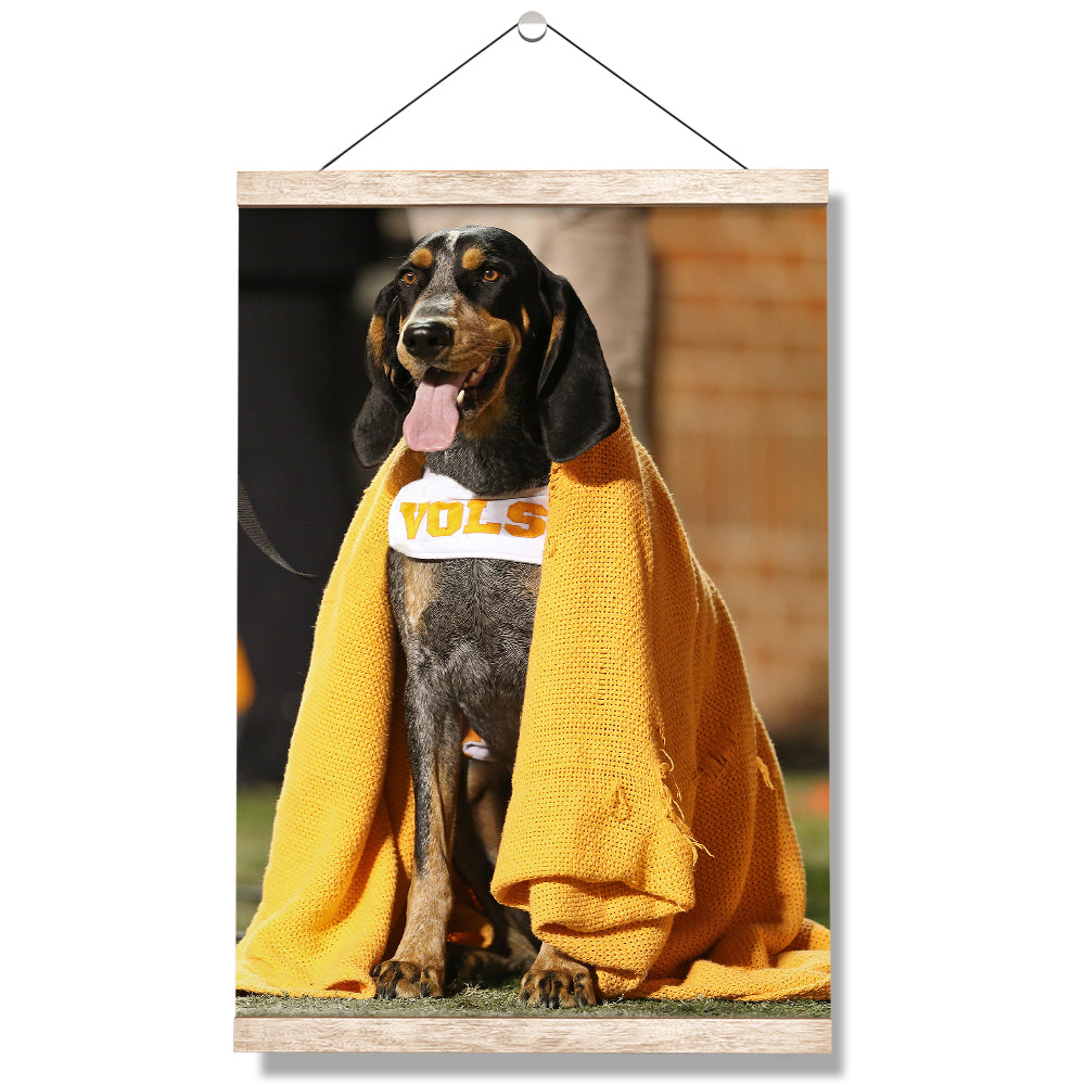 Tennessee Volunteers - Smokey's Blanket - College Wall Art #Canvas