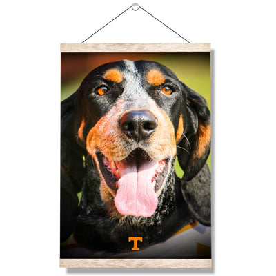 Tennessee Volunteers - Smokey Smiles - College Wall Art #Hanging Canvas
