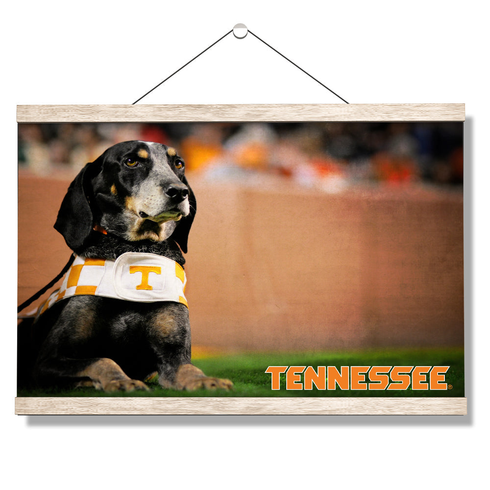 Tennessee Volunteers - Smokey - College Wall Art #Canvas