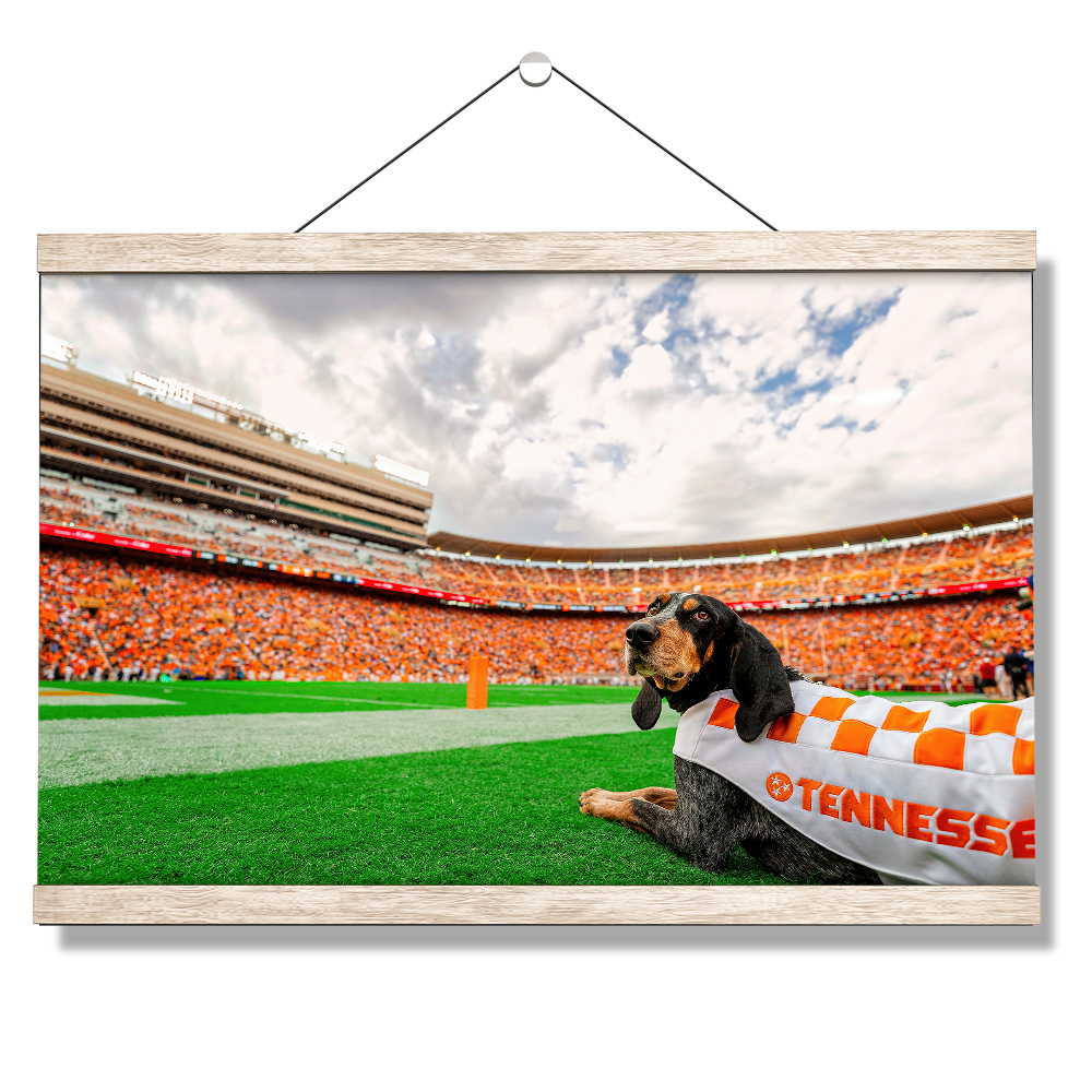 Tennessee Volunteers - Smokey's Tennessee #Canvas