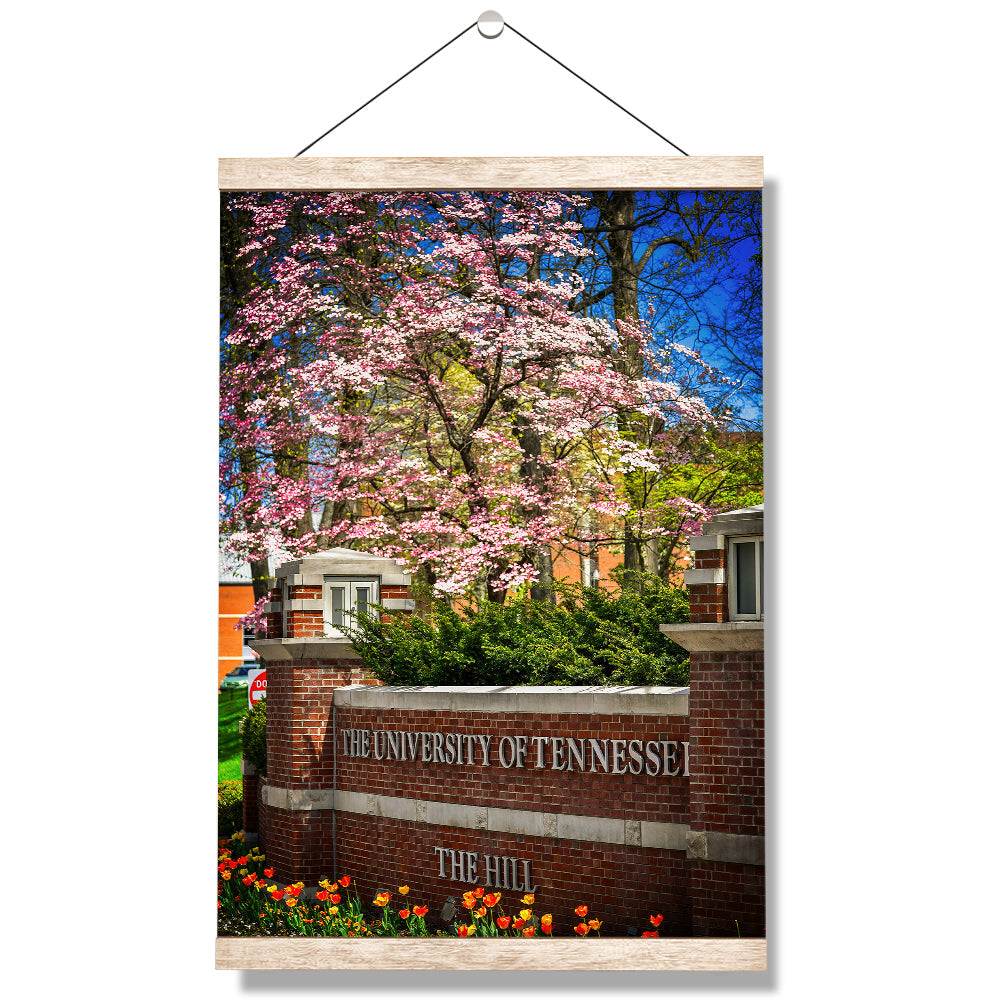 Tennessee Volunteers - Spring on the Hill - College Wall Art #Canvas