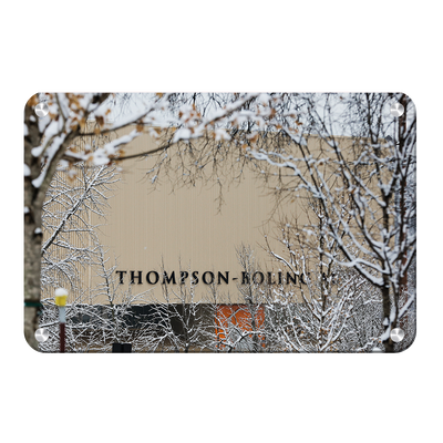 Tennessee Volunteers - Snowy Thompson-Boling - College Wall Art #Metal