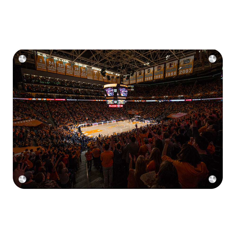 Tennessee Volunteers - Thompson-Boling B Ball - College Wall Art #Canvas