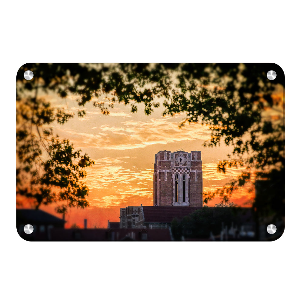 Tennessee Volunteers - Ayres Blaze - College Wall Art #Canvas