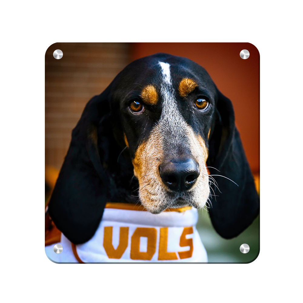 Tennessee Volunteers - TN Smokey Vols - College Wall Art #Canvas