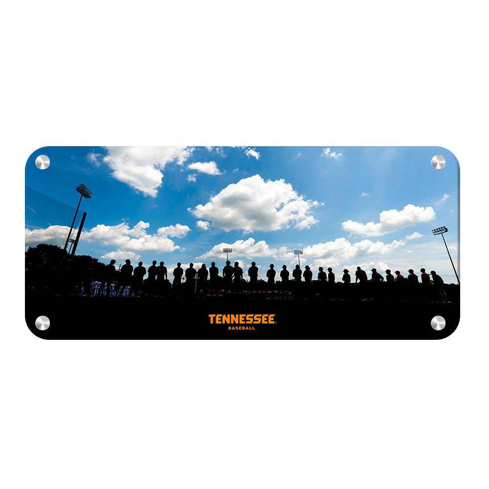 Tennessee Volunteers - Tennessee Baseball - College Wall Art #Canvas