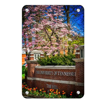 Tennessee Volunteers - Spring on the Hill - College Wall Art #Metal