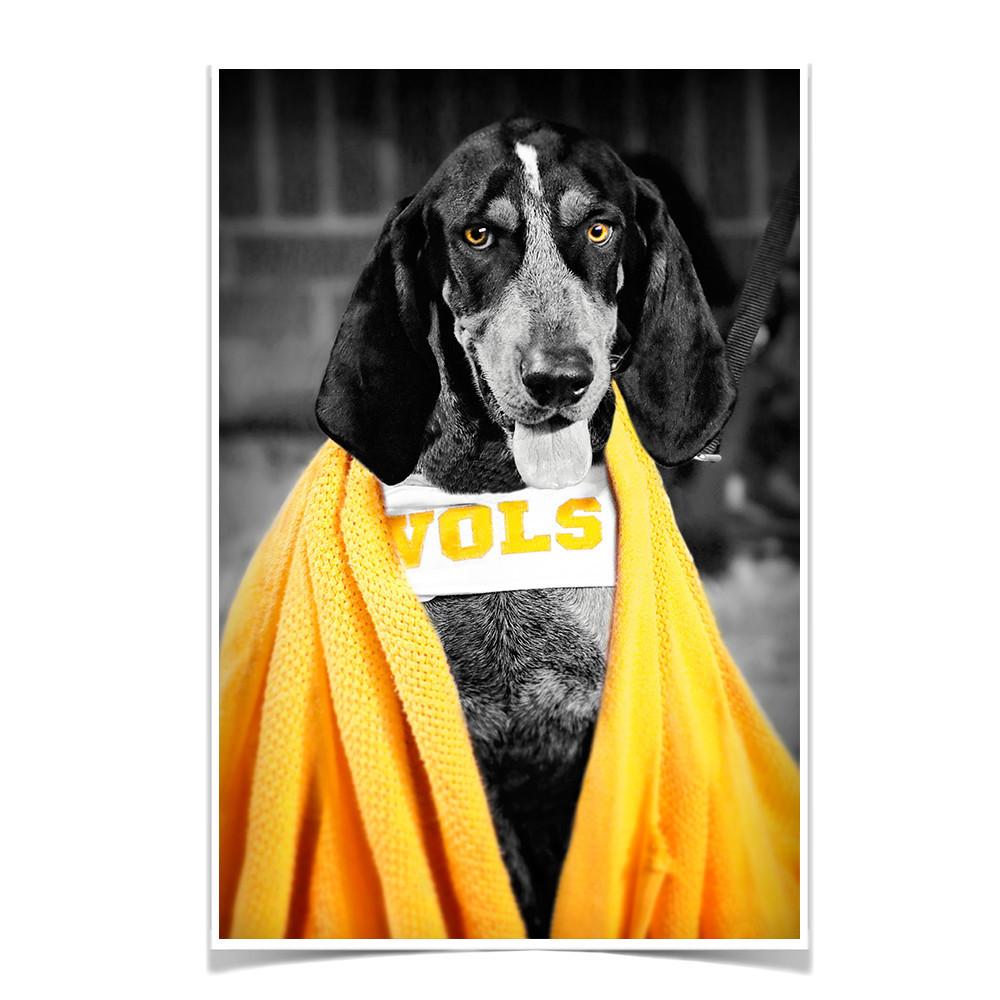 Tennessee Volunteers - Jedi Smokey - College Wall Art #Canvas