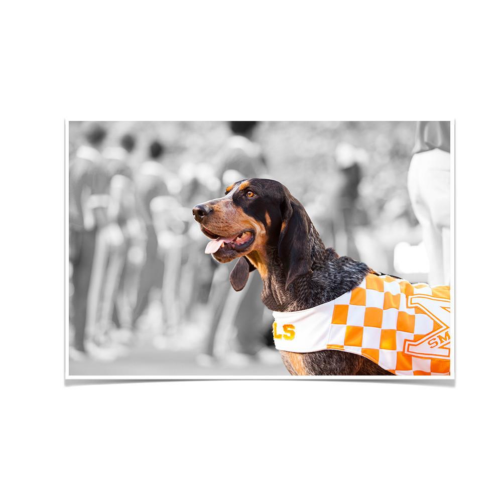 Tennessee Volunteers - Smokey X - College Wall Art #Canvas