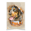 Tennessee Volunteers - Smokey Watercolor - College Wall Art #Poster