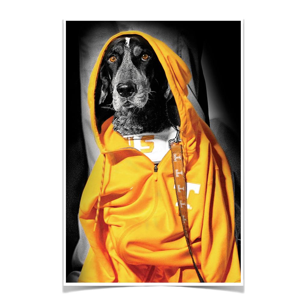 Tennessee Volunteers - Smokey Hood - College Wall Art #Canvas