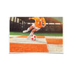 Tennessee Volunteers - Lady Vols Soccer - College Wall Art #Poster