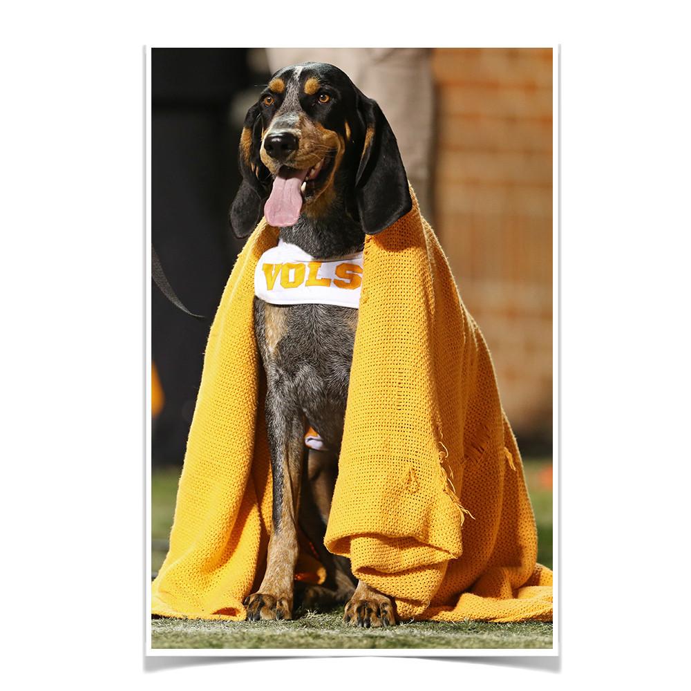 Tennessee Volunteers - Smokey's Blanket - College Wall Art #Canvas