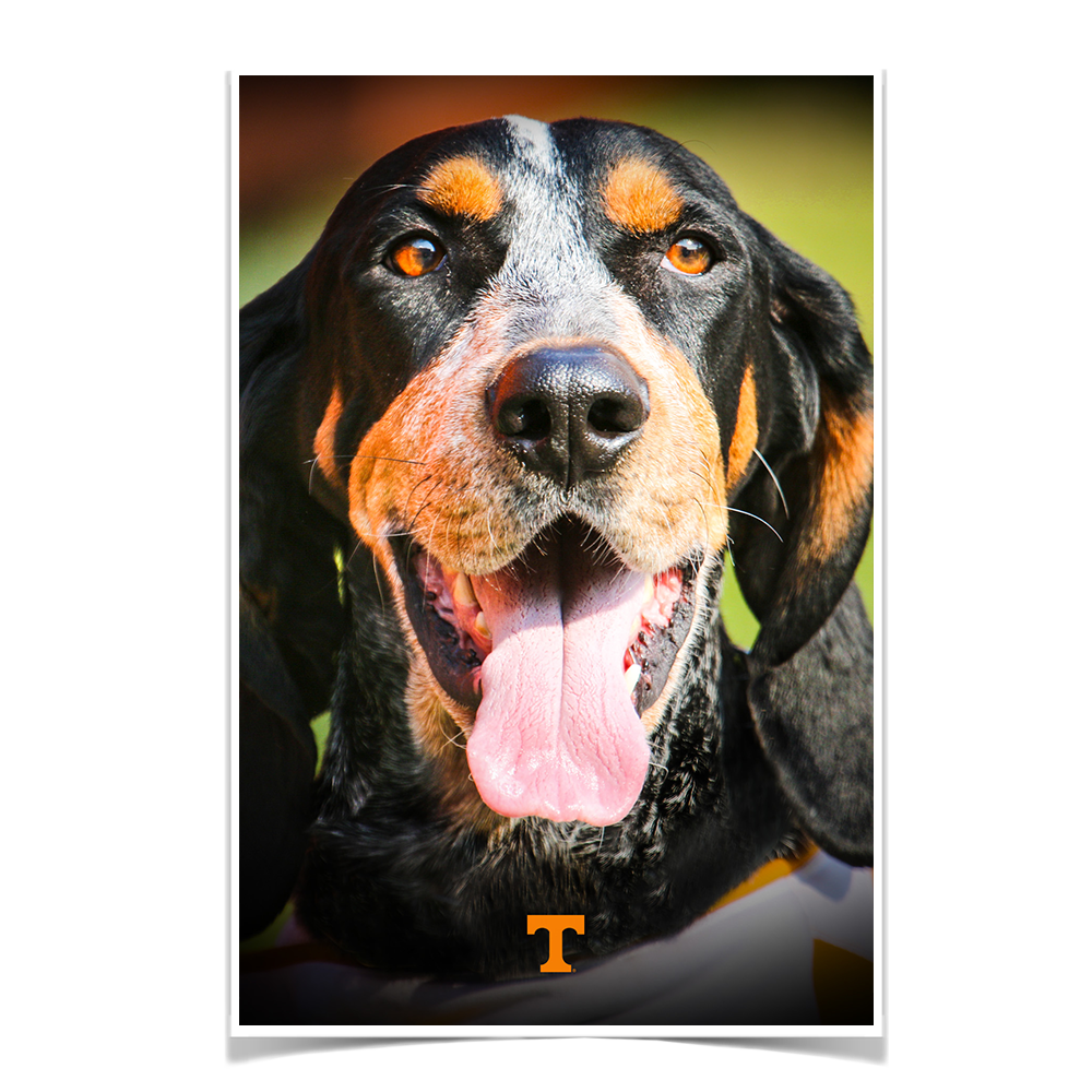 Tennessee Volunteers - Smokey Smiles - College Wall Art #Canvas