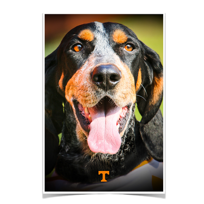 Tennessee Volunteers - Smokey Smiles - College Wall Art #Poster