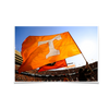Tennessee Volunteers - T Flags - College Wall Art #Poster