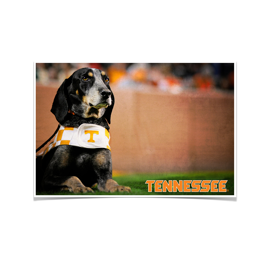 Tennessee Volunteers - Smokey - College Wall Art #Canvas