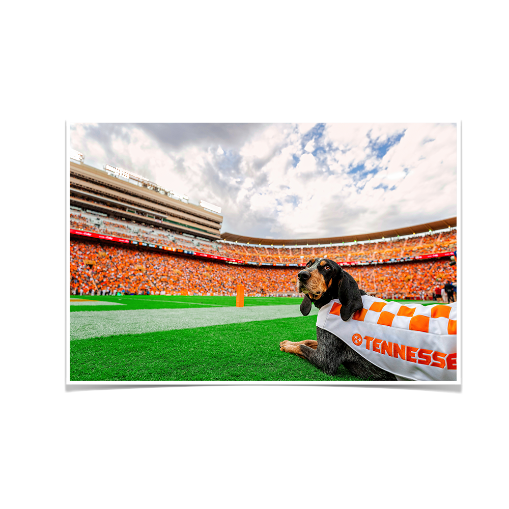 Tennessee Volunteers - Smokey's Tennessee #Canvas