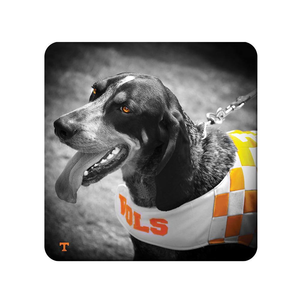 Tennessee Volunteers - Smokey Orange - College Wall Art #Canvas 