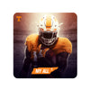 Tennessee Volunteers - My All T - College Wall Art #PVC