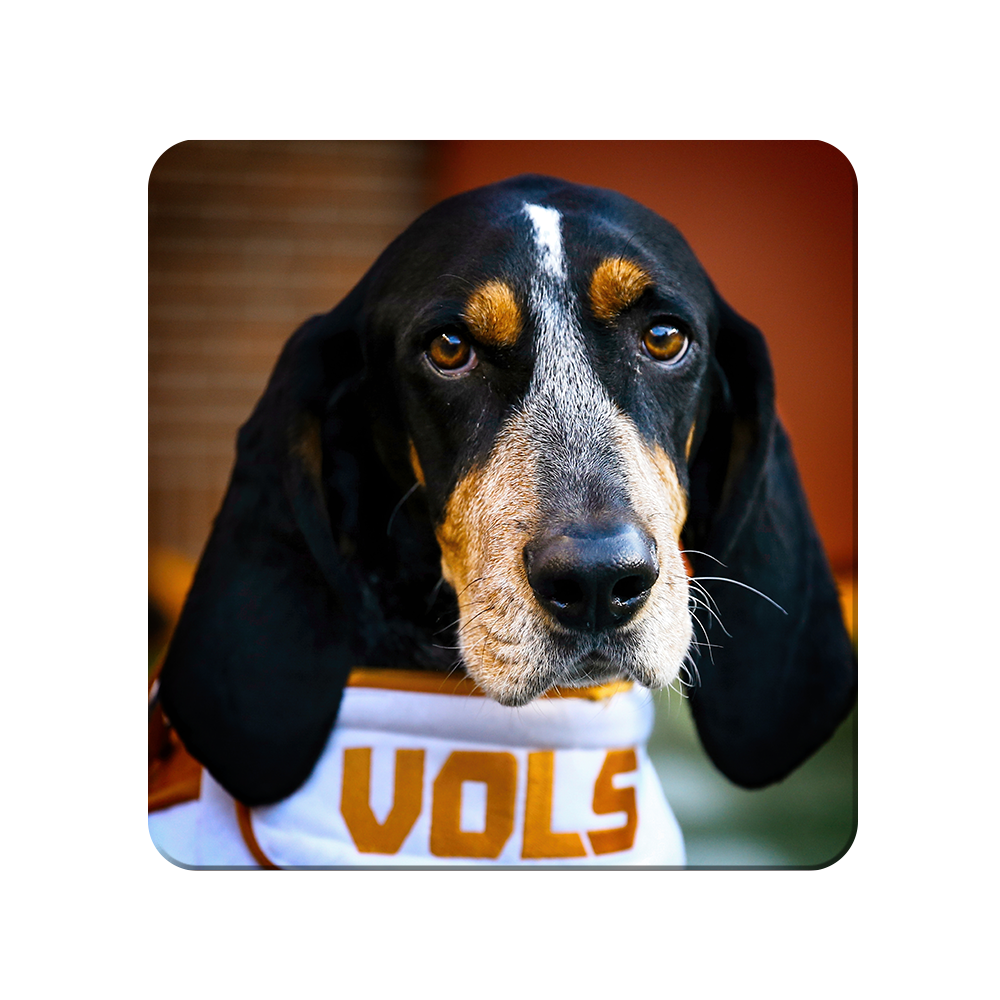 Tennessee Volunteers - TN Smokey Vols - College Wall Art #Canvas