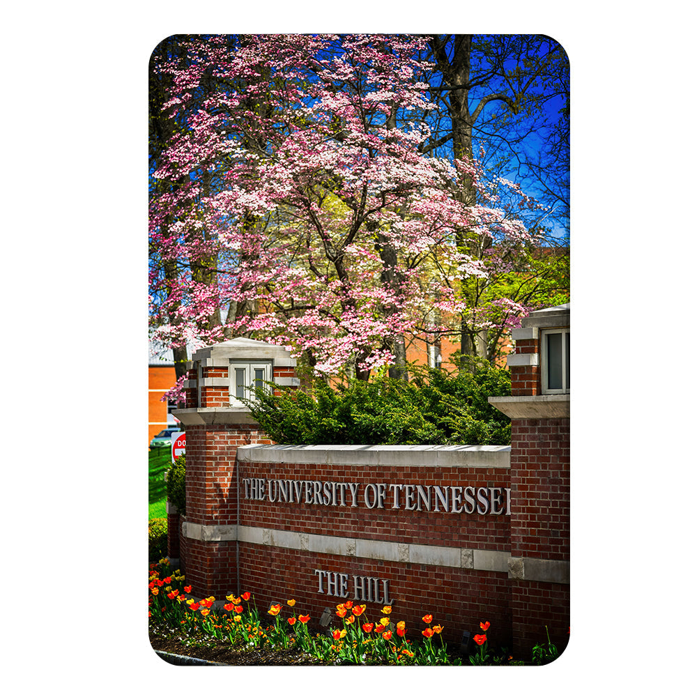 Tennessee Volunteers - Spring on the Hill - College Wall Art #Canvas