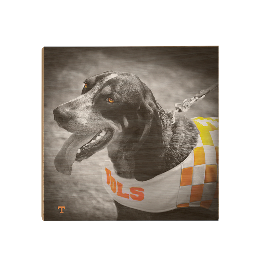 Tennessee Volunteers - Smokey Orange - College Wall Art #Canvas 